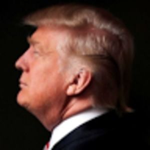 Meet your Posher, Brayden